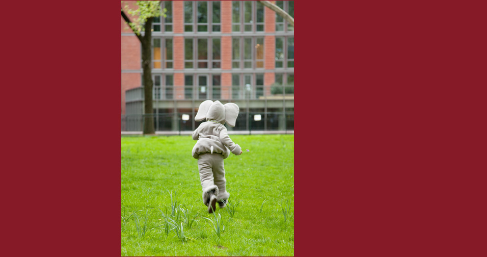 young boy running in elephant costume - los angeles county child and family photography